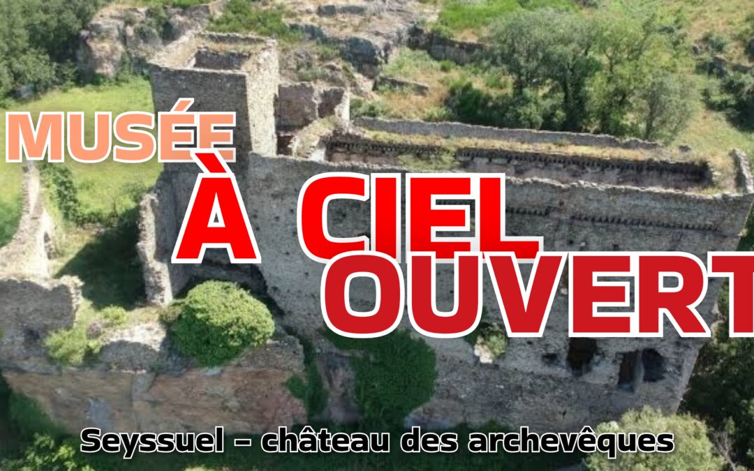 Vienne (Isère), c&rsquo;est un musée à ciel ouvert ! Le château des archevêques à Seyssuel.